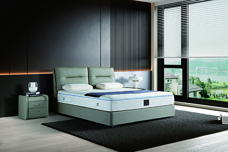 2025 Bedding Industry Enviro