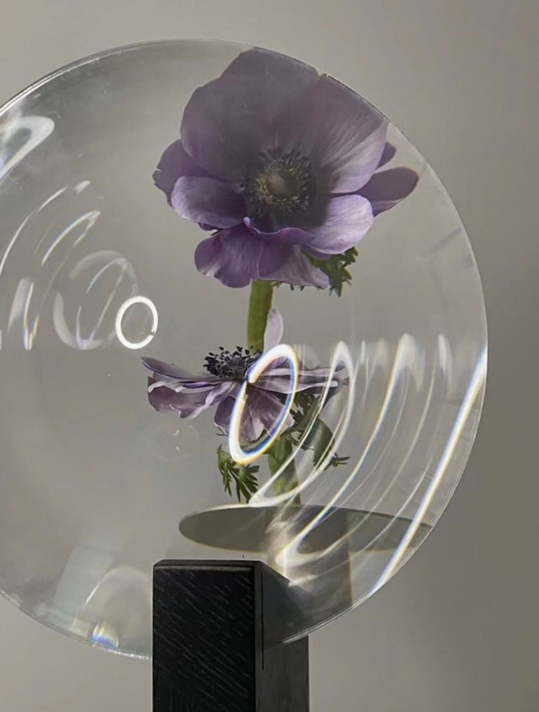 Light Luxury Furniture Purchase Guide